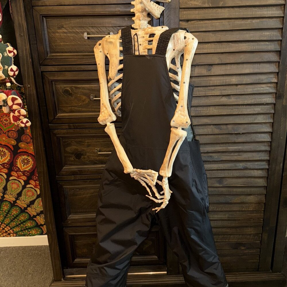 Womens Small Black TSLA Overall Snow Pants